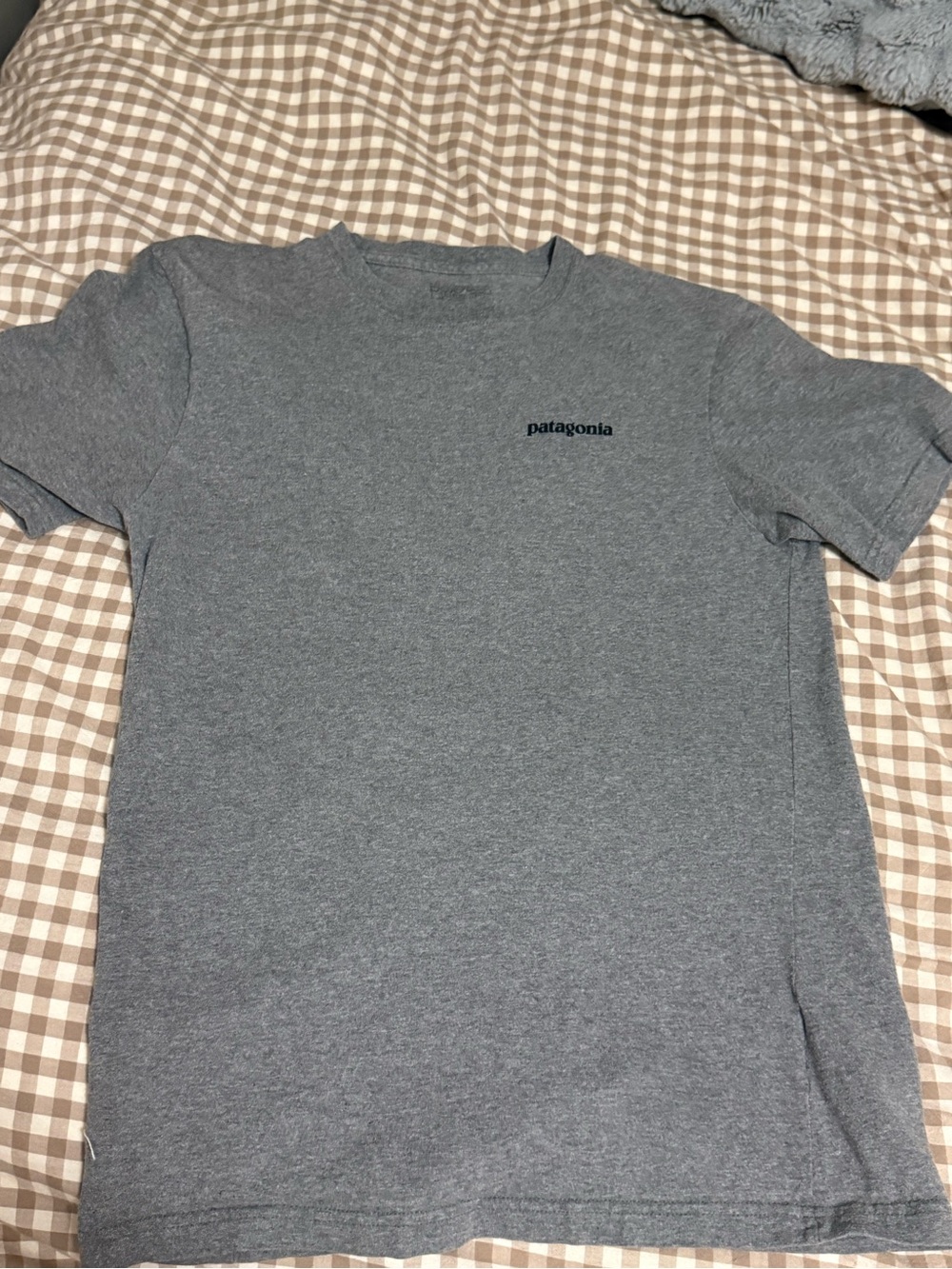 Patagonia women’s Gray Crewneck T-Shirt